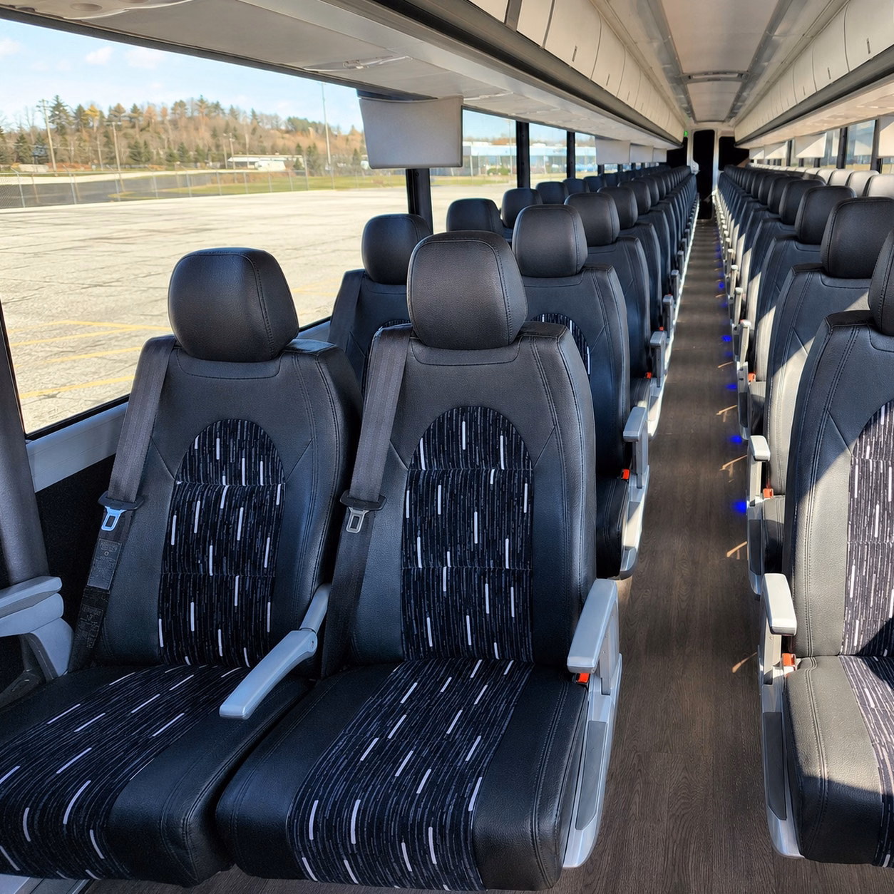 compare buses in minutes not days
